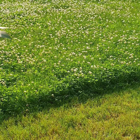 White Przy Wyspie Opatowickiej Ubytování v soukromí *