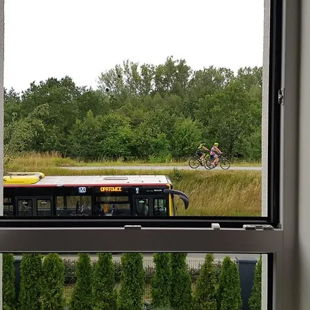 White Przy Wyspie Opatowickiej